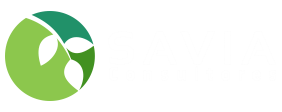 Savia Consultores